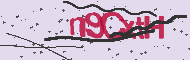Captcha認証コード