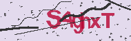 Captcha認証コード